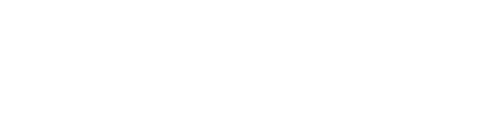 Tiran New York Üniversitesi (tiran-arnavutluk) Tiran New York Üniversitesi (tiran-arnavutluk) logosu